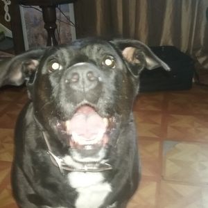 Meet your Posher, Jackie